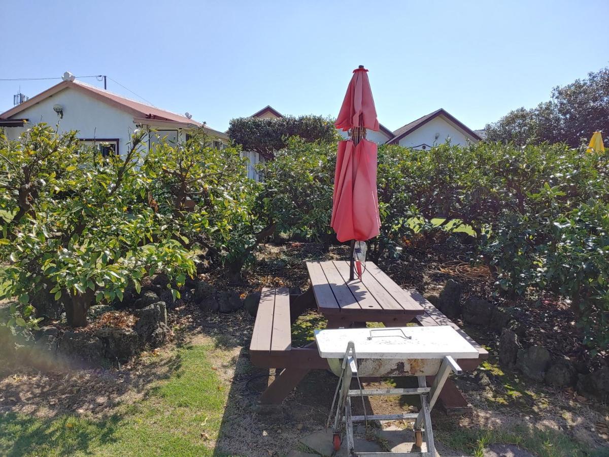 Gyulhouse Pensionソギポ エクステリア 写真